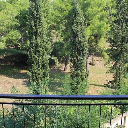 Il Giardino In Citta - Parcheggio Privato Gratuito Bed & Breakfast